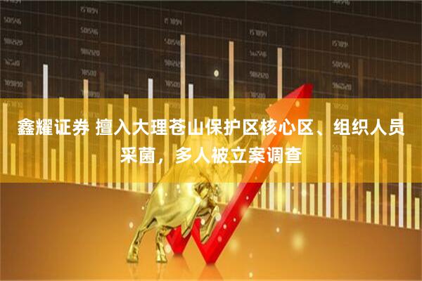 鑫耀证券 擅入大理苍山保护区核心区、组织人员采菌，多人被立案调查
