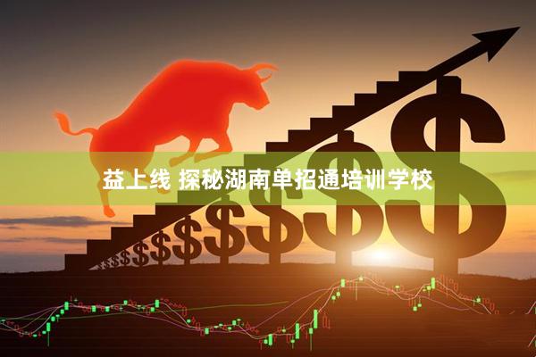 益上线 探秘湖南单招通培训学校
