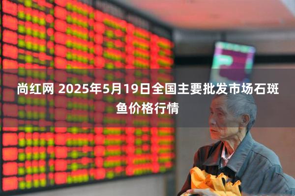 尚红网 2025年5月19日全国主要批发市场石斑鱼价格行情