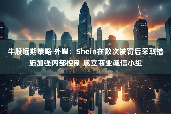 牛股远期策略 外媒：Shein在数次被罚后采取措施加强内部控制 成立商业诚信小组
